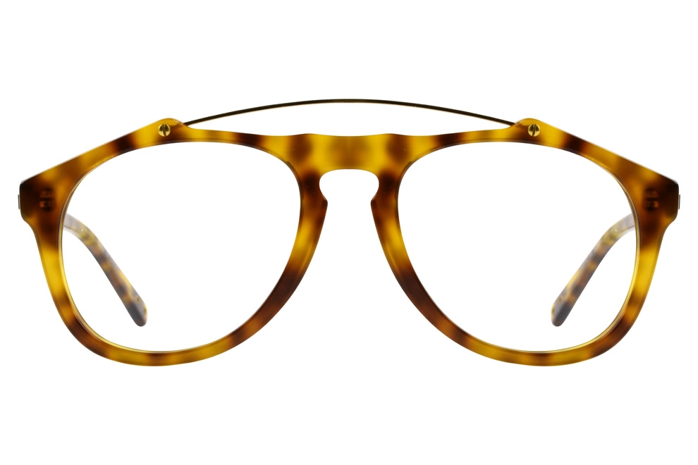Gold Tortoise